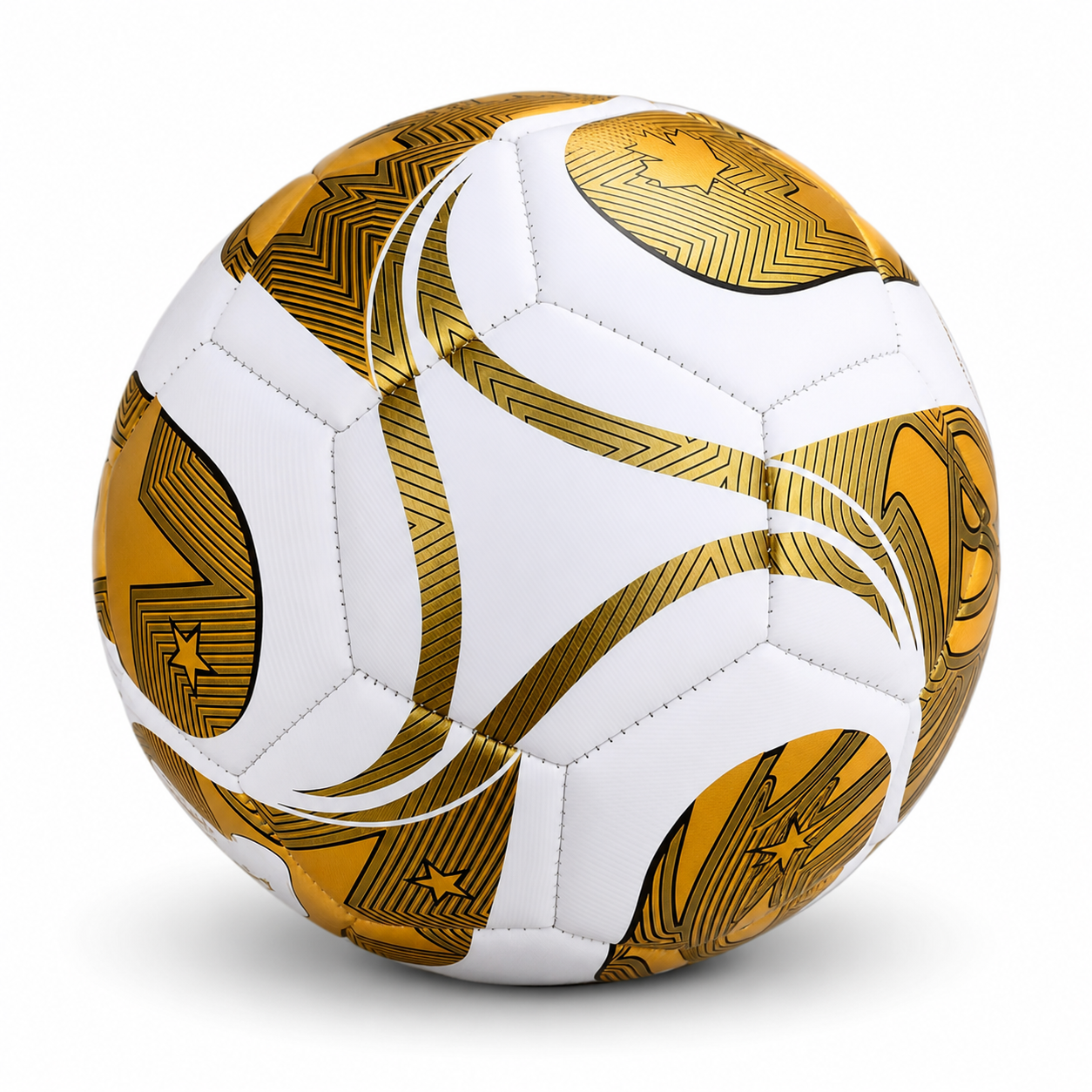 ShinDefender Pro Training Ball